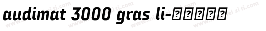 audimat 3000 gras li字体转换